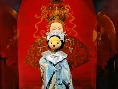 -济州岛泰迪熊博物馆