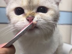-中农国际动物医院24小时·猫科·骨科·急重症中心
