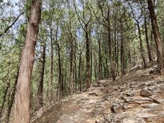 -四门塔风景区