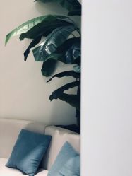-健身堂科技美肌SPA