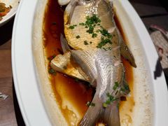 -曾宴·楚菜(湖北省博物馆店)