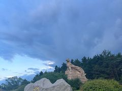 -帽儿山国家森林公园