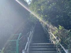 -树山生态村