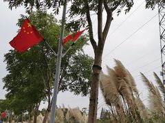 -上海长兴岛郊野公园