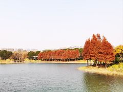 -尚贤河湿地