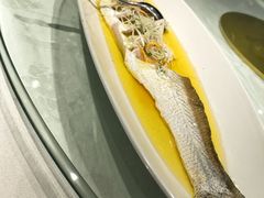 -金枝玉叶上海人家食府(三里河店)