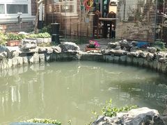 -漫渡庄绿岛花园•隐世庭园菜(滨湖店)