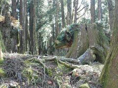 -阿里山神木遗迹