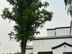 -乌村