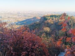 -北京西山国家森林公园