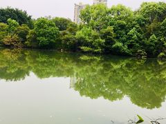 -金山公园