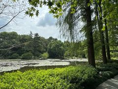-杭州植物园