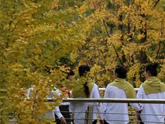 -重庆市江北嘴中央商务区中央公园