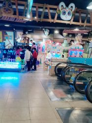 -卡通尼·Safari非洲探索乐园·生日会(金桥国际商业广场店)