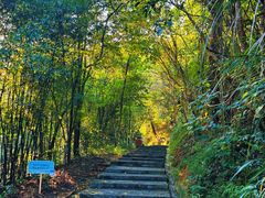 -广州白江湖森林公园