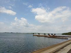 -南京金牛湖风景区