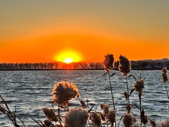 -野鸭湖国家湿地公园