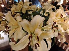 -火车头法国西餐厅