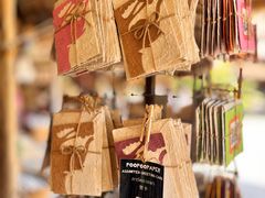 -大象粑粑造纸公园