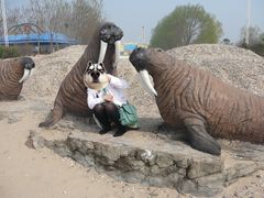 -秦皇岛乐岛海洋王国