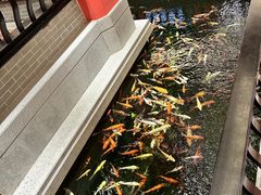 -龙悦湾酒家·八阵鱼生·渔人码头店