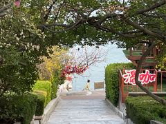 -烟台山景区