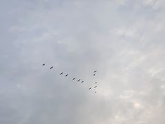 -石宝寨
