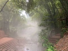 -川西竹海景区