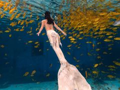 -三亚海昌梦幻海洋不夜城