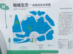 -荷塘月色湿地公园·向阳花洲