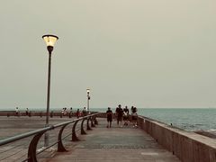 -青岛奥林匹克帆船中心