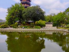 -红梅公园