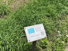 -前小桔亲子创意农场·草莓采摘·露营烧烤