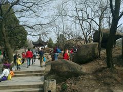 android_upload_pic-灵岩山风景区