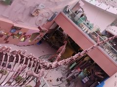 -陕西自然博物馆