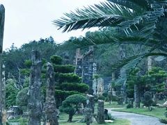 -深圳仙湖植物园