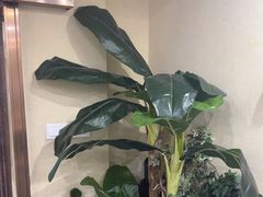 -凯平棋牌会所(永惠大厦店)