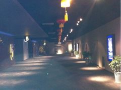-万达影城(淮安水渡口万达广场IMAX激光店)