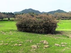 -有田陶瓷公园