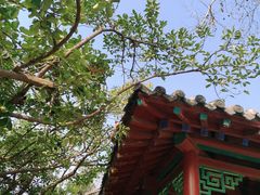 -趵突泉景区