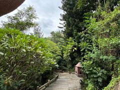 -草庵摩尼教遗址公园