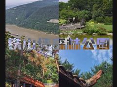 -铁山坪森林公园