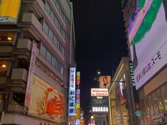-蟹道乐(道顿堀本店)