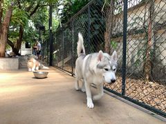 -TrueLove @ Neverland (Husky Cafe)
