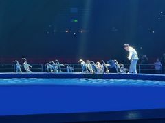 -珠海横琴长隆《卡卡虎奇遇记》