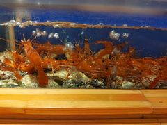 -鲔屋寿喜烧