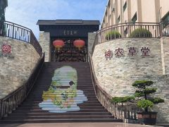-广州神农草堂中医药博物馆