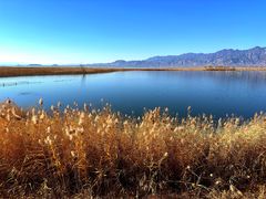 -野鸭湖国家湿地公园