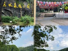 -三水森林公园