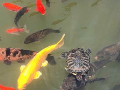 -宁波市保国寺古建筑博物馆